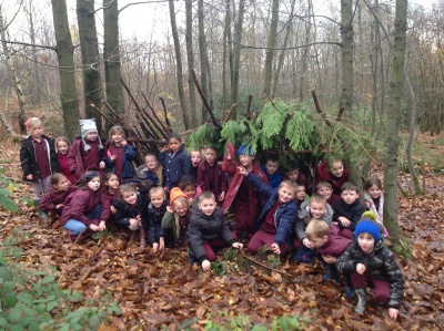 Wilderness Woods picture 1